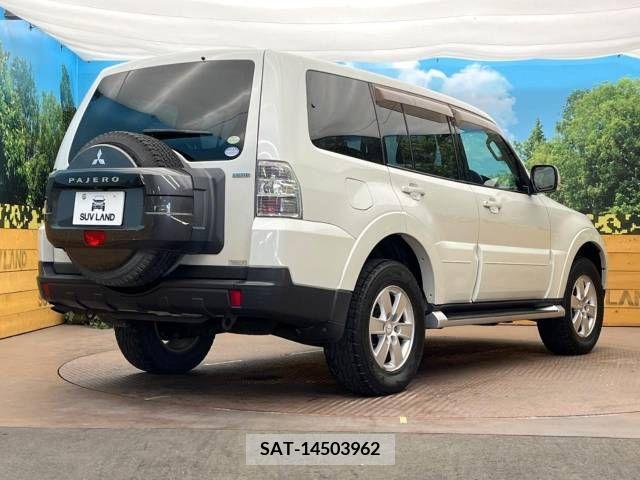 Mitsubishi PAJERO 2007-06 381161-17