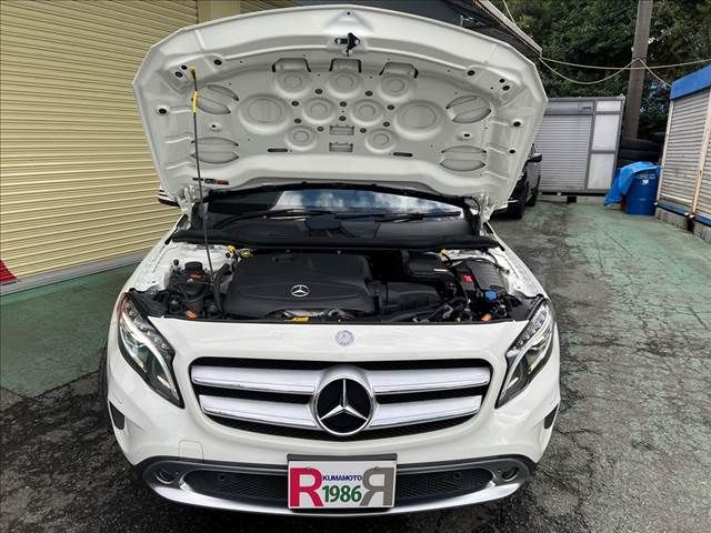 Mercedes Benz GLA-CLASS 2016-06 181429-25