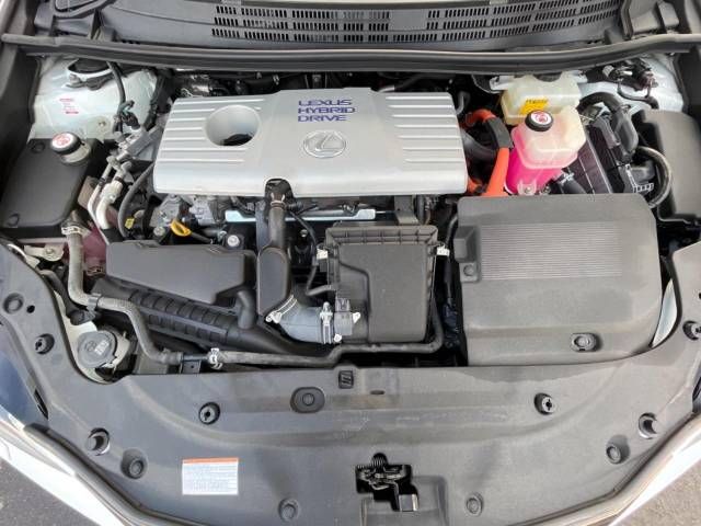 Lexus CT 2017-09 191655-18