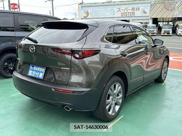 Mazda CX-30 2021-09 302121-10