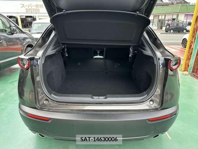 Mazda CX-30 2021-09 302121-9
