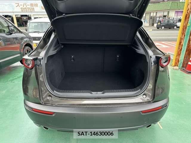 Mazda CX-30 2021-09 302121-8
