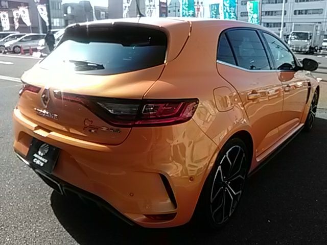 Renault MEGANE 2019-01 193411-2