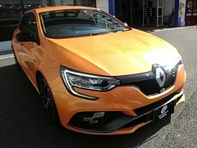 Renault MEGANE 2019-01 193411-3