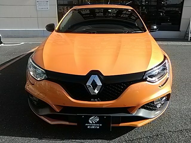 Renault MEGANE 2019-01 193411-4