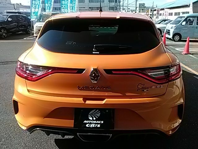 Renault MEGANE 2019-01 193411-5