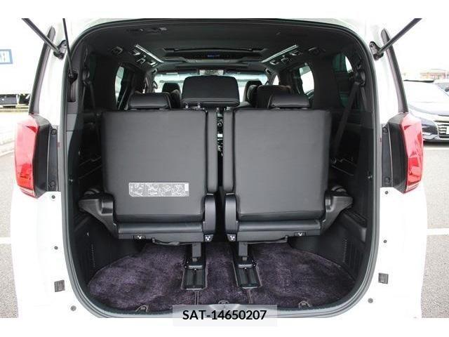 Toyota ALPHARD 2019-02 383073-17