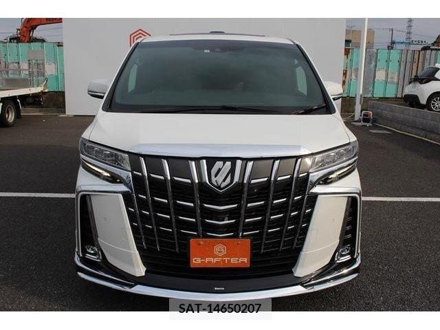 Toyota ALPHARD 2019-02 383073-7