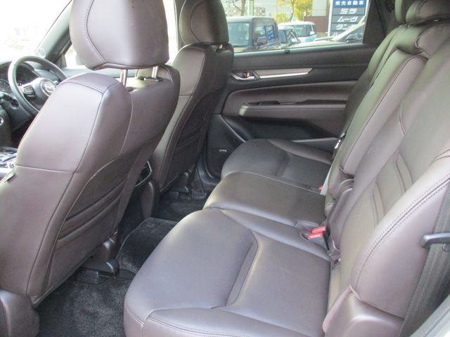 Mazda CX-8 2020-02 715-6