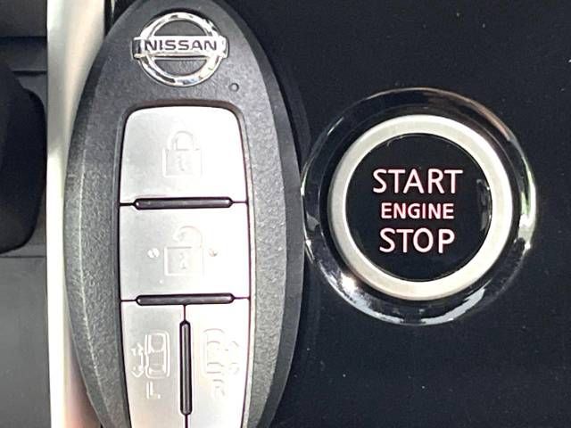Nissan SERENA 2018-06 20480-6