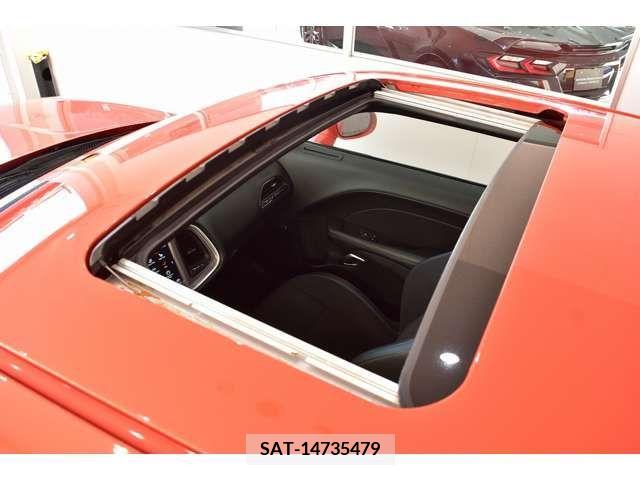 Dodge CHALLENGER 2019-06 208753-12