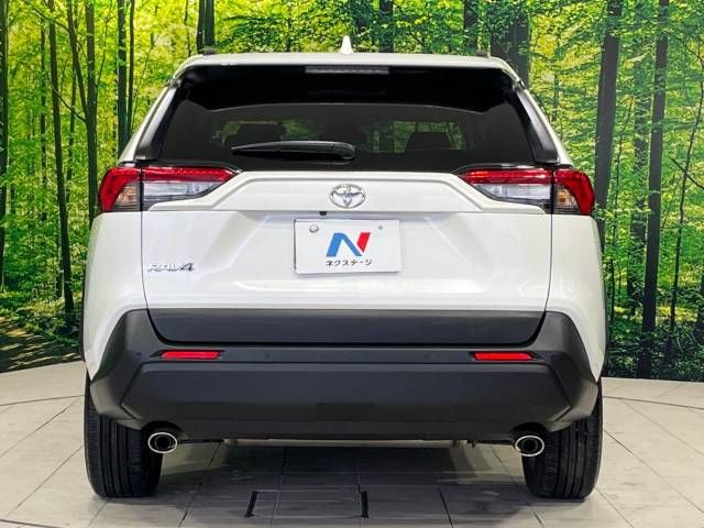 Toyota RAV4 2019-05 29263-15