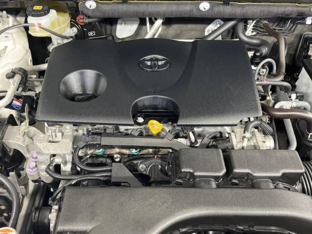 Toyota RAV4 2019-05 29263-18