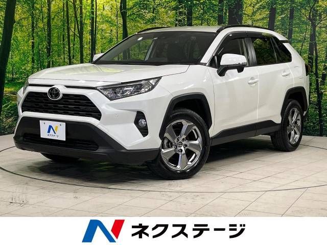 Toyota RAV4 2019-05 29263-0