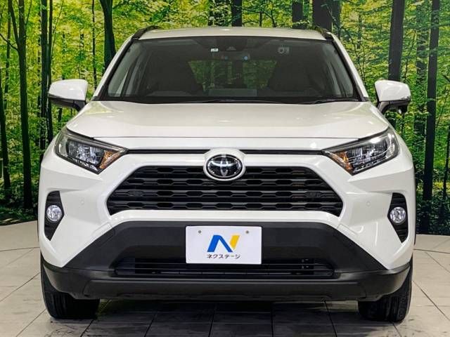Toyota RAV4 2019-05 29263-14