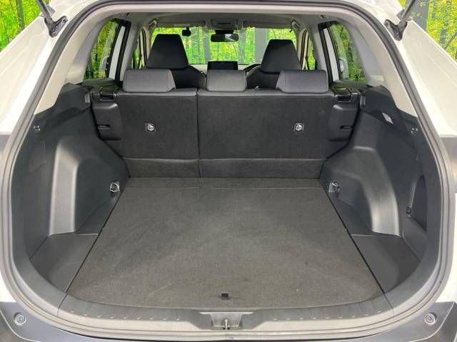 Toyota RAV4 2019-05 29263-10