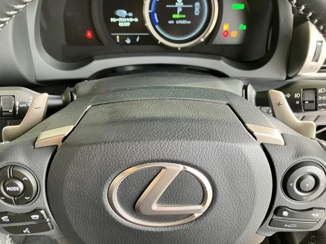 Lexus IS 2013-06 187394-14