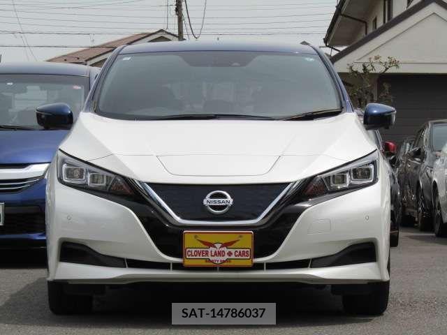 Nissan LEAF 2019-03 297879-2