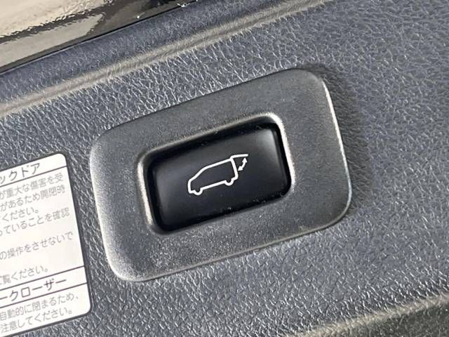 Toyota ALPHARD 2017-04 187116-6