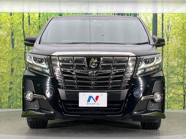 Toyota ALPHARD 2017-04 187116-14