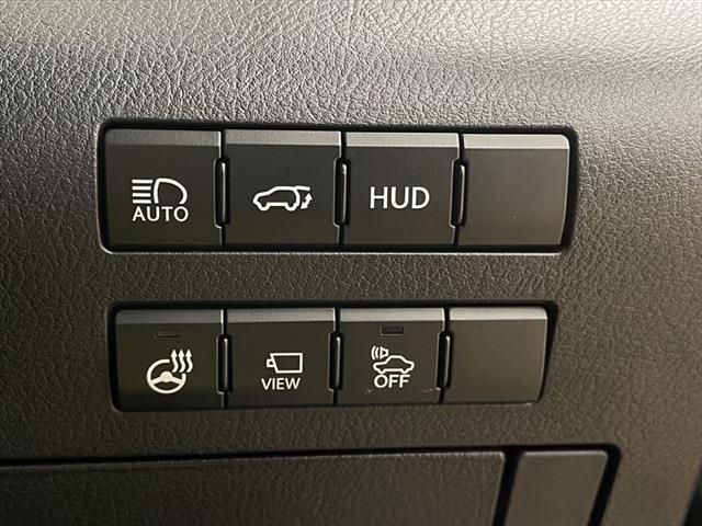 Lexus RX 2017-04 13077-29