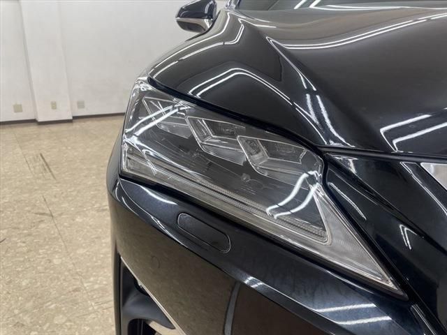 Lexus RX 2017-04 13077-9
