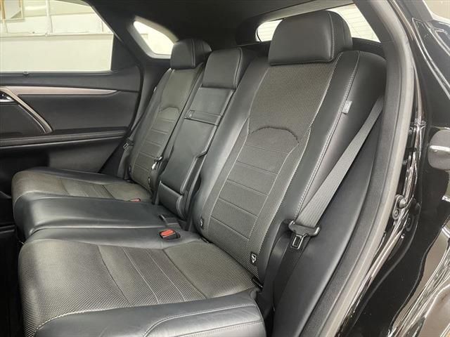 Lexus RX 2017-04 13077-22