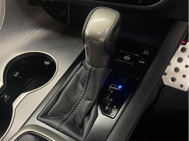 Lexus RX 2017-04 13077-25