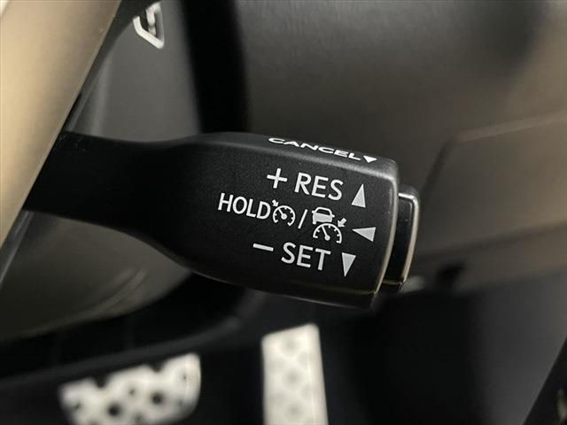 Lexus RX 2017-04 13077-28