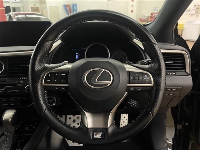 Lexus RX 2017-04 13077-24