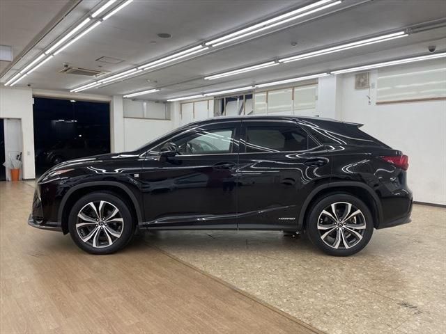 Lexus RX 2017-04 13077-7