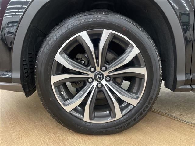 Lexus RX 2017-04 13077-17