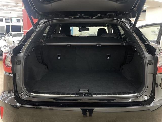 Lexus RX 2017-04 13077-23
