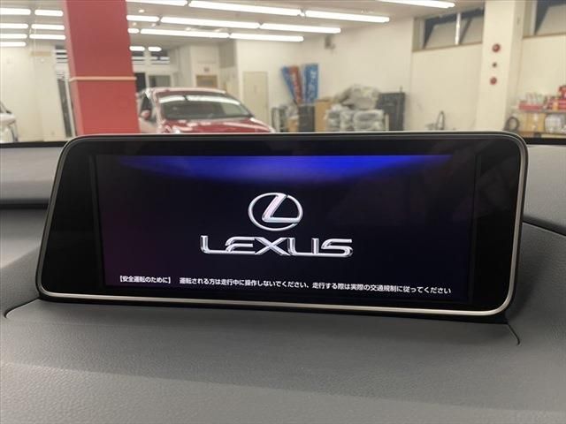 Lexus RX 2017-04 13077-26