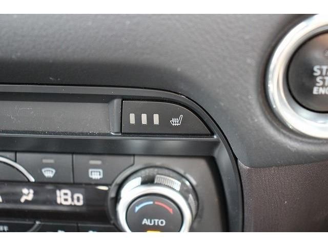 Mazda CX-8 2018-03 11021-4