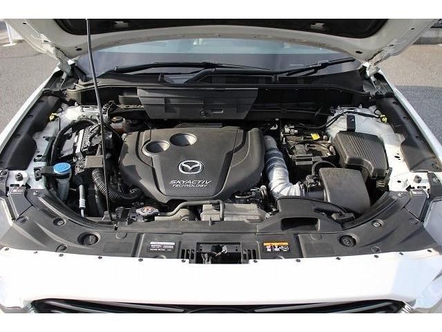 Mazda CX-8 2018-03 11021-18