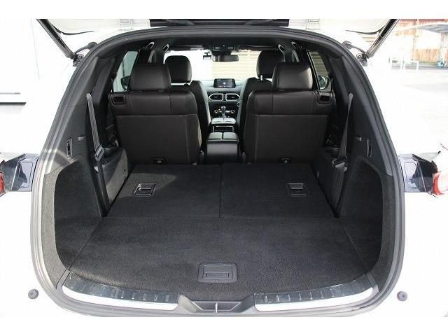 Mazda CX-8 2018-03 11021-17