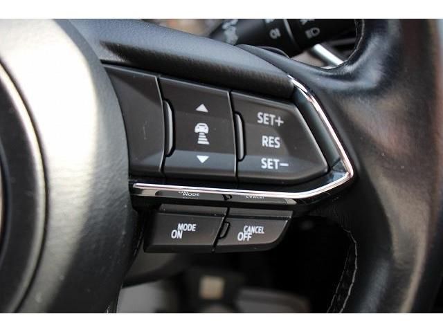 Mazda CX-8 2018-03 11021-5