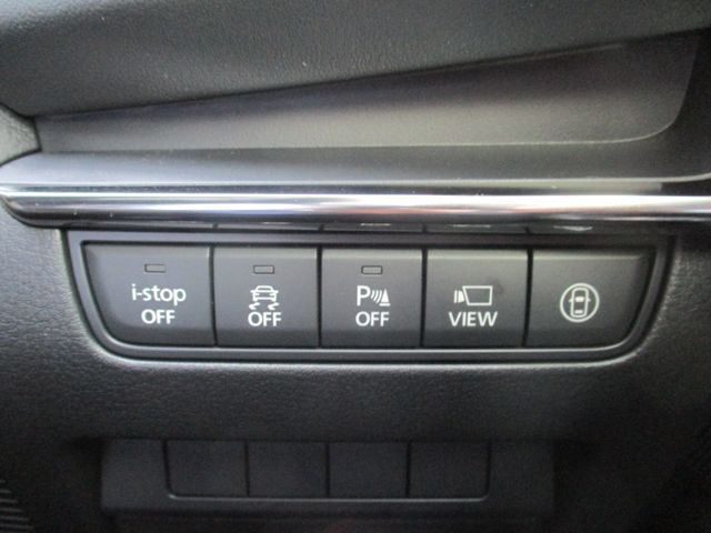 Mazda MAZDA3 2019-07 180737-17