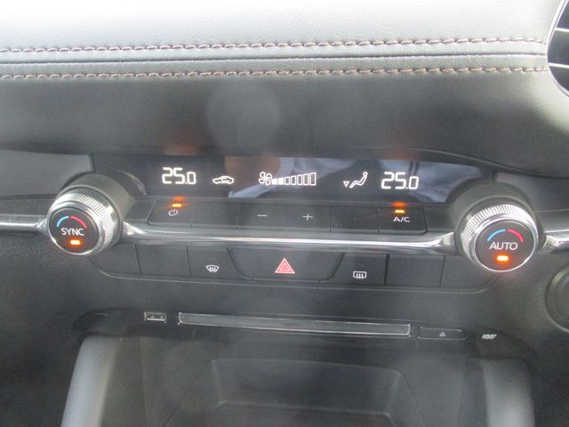 Mazda MAZDA3 2019-07 180737-14