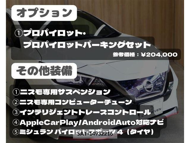Nissan LEAF 2019-11 219588-1