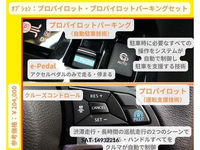 Nissan LEAF 2019-11 219588-14