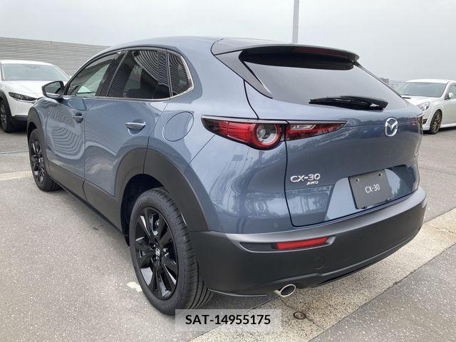 Mazda CX-30 2023-08 331973-7