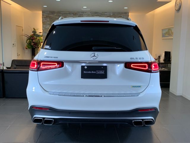 Amg S-CLASS 2021-09 13554-3