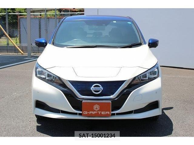 Nissan LEAF 2018-09 324793-6