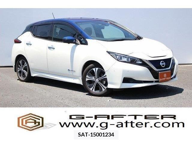 Nissan LEAF 2018-09 324793-0