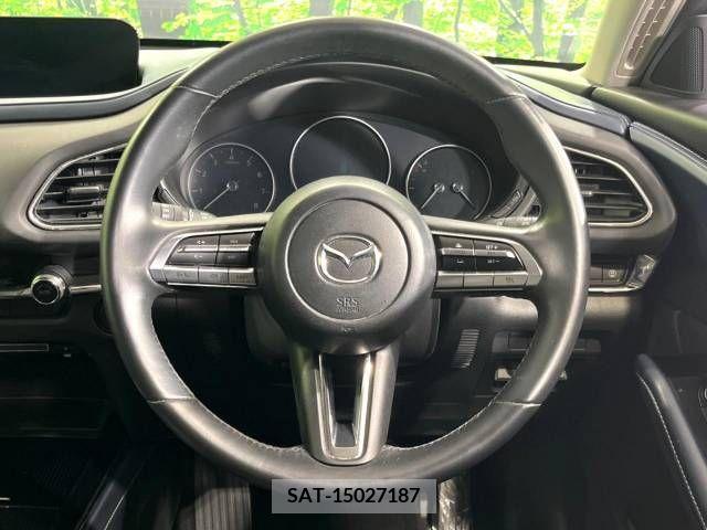 Mazda CX-30 2020-12 385489-11