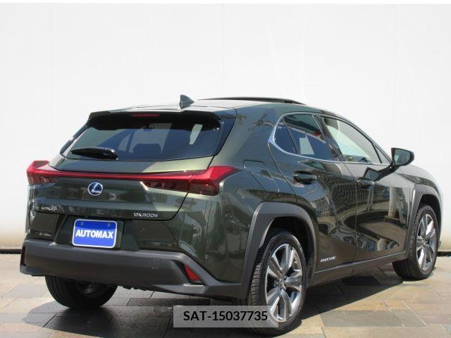 Lexus UX 2021-06 363085-29