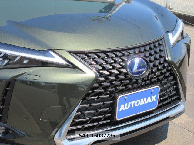 Lexus UX 2021-06 363085-28