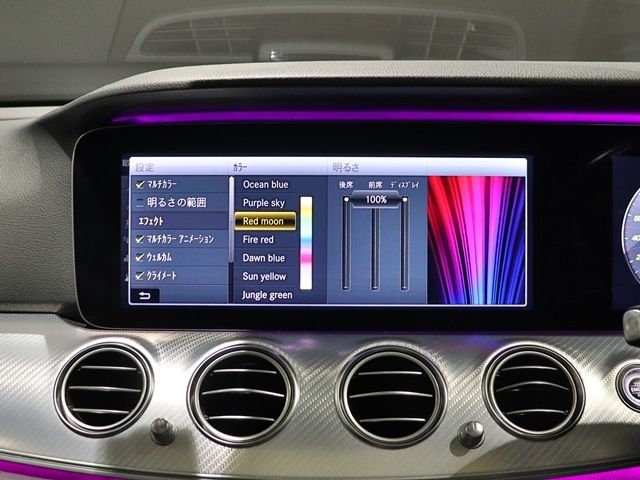 Mercedes Benz E-CLASS 2018-11 194372-19